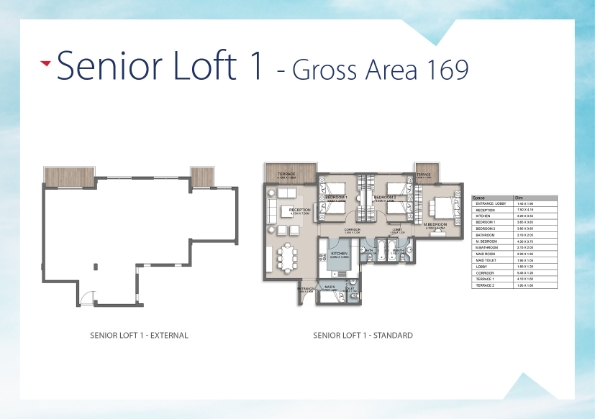 The Loft - Senior Apartment