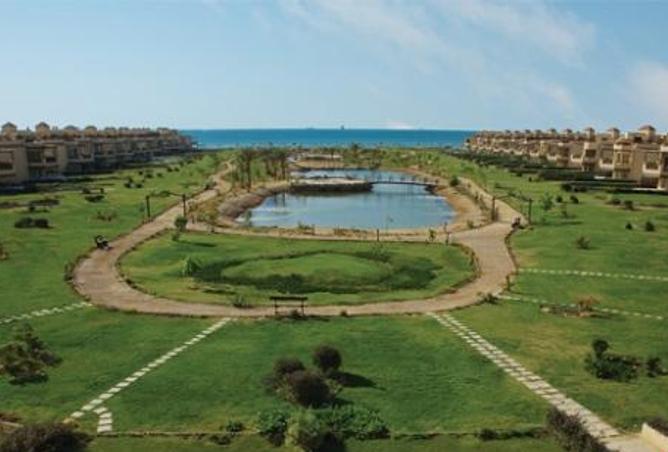 Ein Bay location