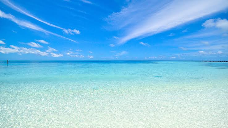 Zoya - Chalet- Garden