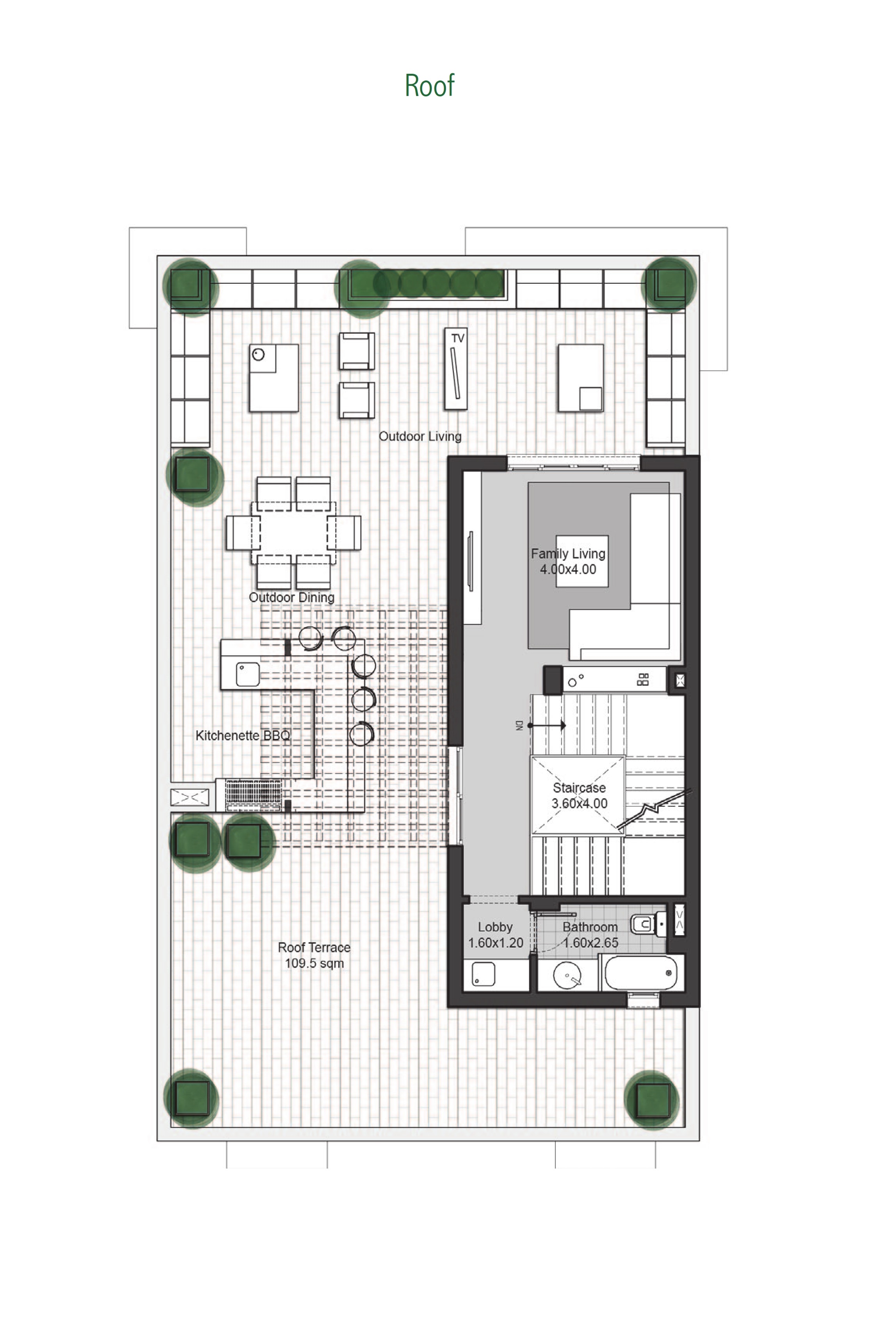 Medium Villa + Basement