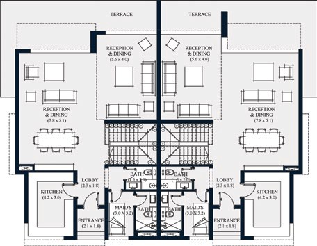 Swan Lake - Twinvilla